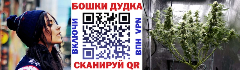 Купить закладку ГАШ  Псилоцибиновые грибы  Меф мяу мяу  Дрезна
