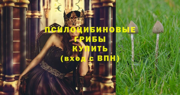спиды Приозерск