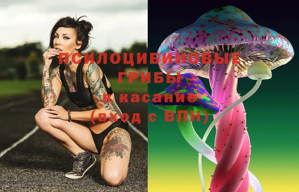 спиды Приозерск
