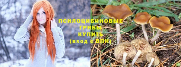 спиды Приозерск